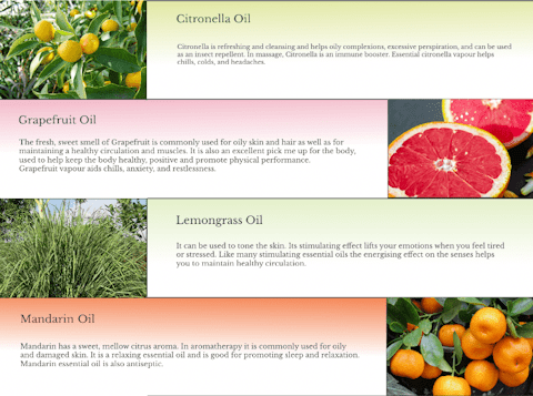 design snapshot of the infomation section